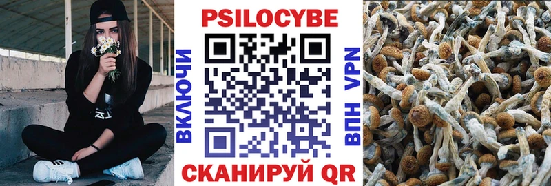 Псилоцибиновые грибы прущие грибы  Шилка 